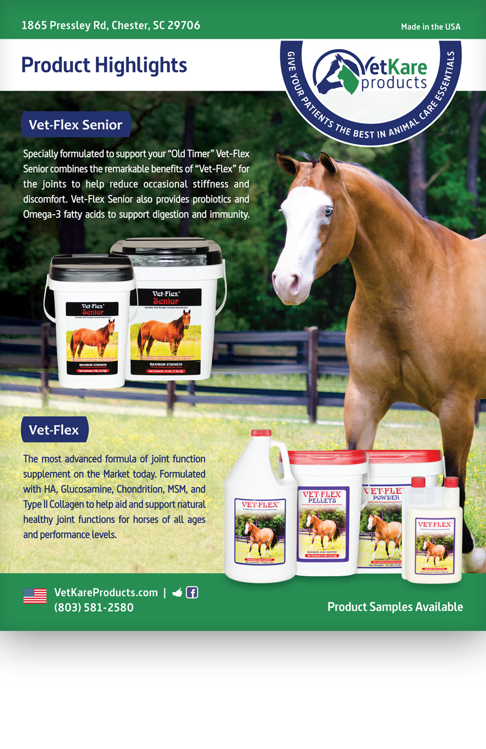 Greenville Graphic Designer